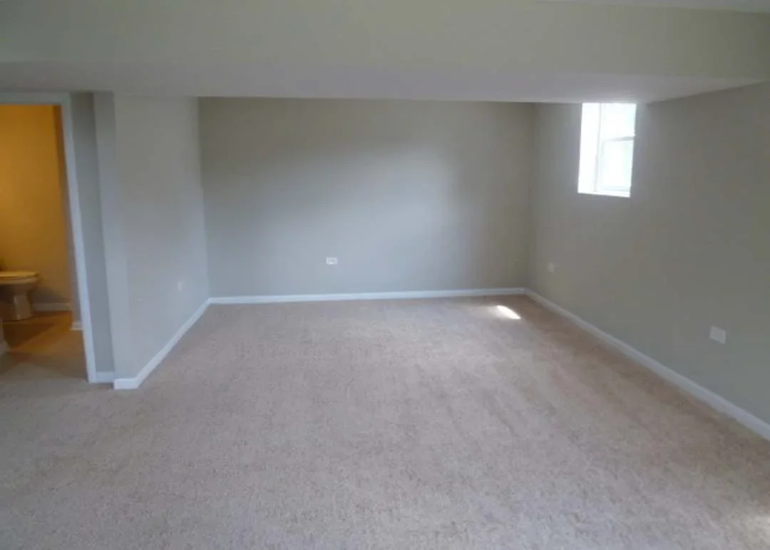 Finished basement with new carpet, drywall walls, and natural light from window