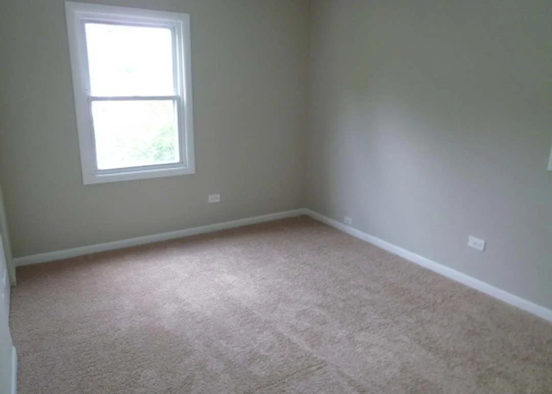 Empty room with new carpet, painted walls, white trim, and double-hung window